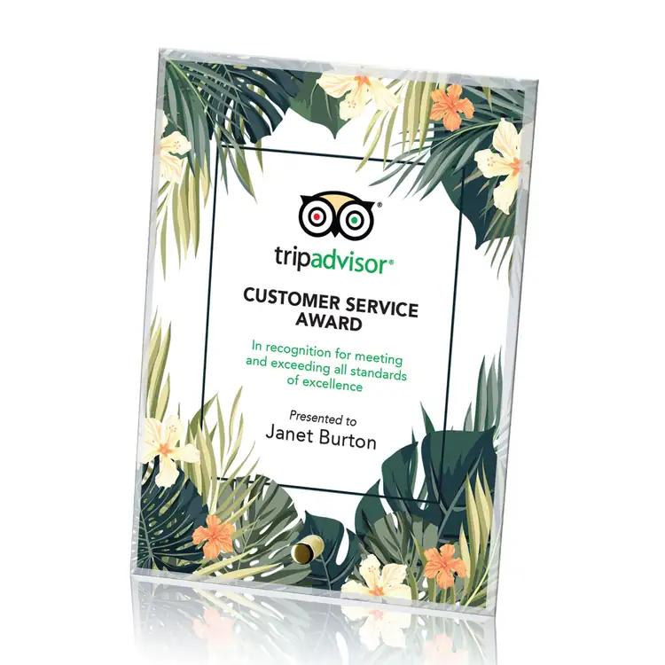 Cantebury Starfire Crystal Award - Vertical Rectangle - Multicolor #2
