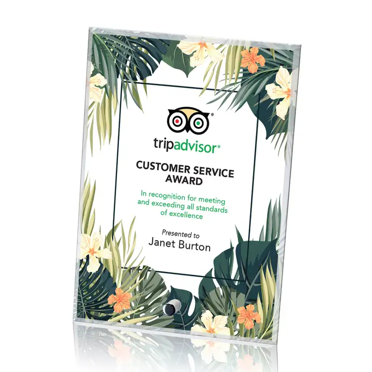 Cantebury Starfire Crystal Award - Vertical Rectangle - Multicolor #3