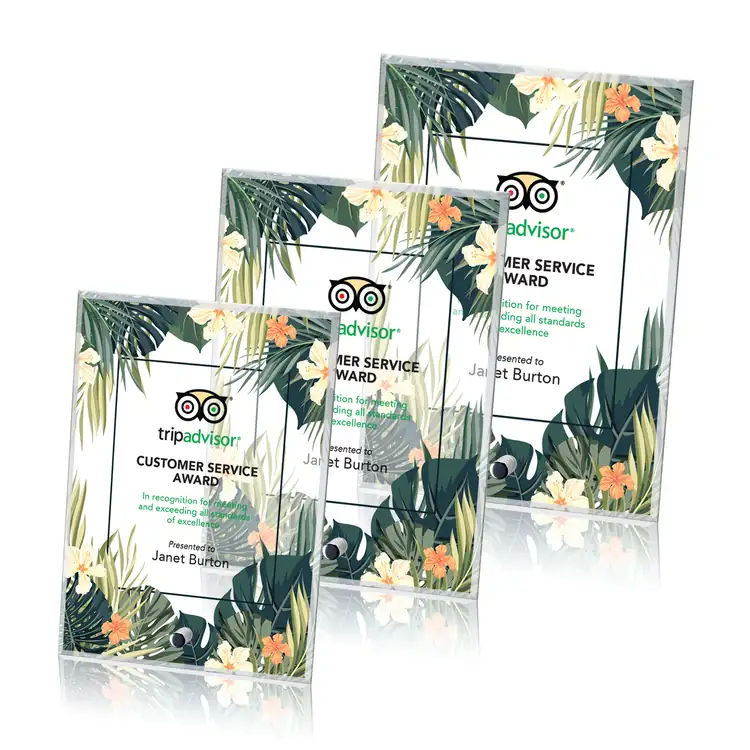 Cantebury Starfire Crystal Award - Vertical Rectangle - Multicolor