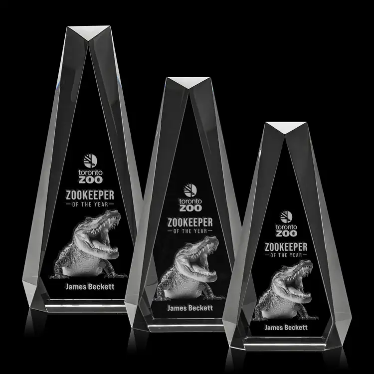 Trophée Carmel 3D