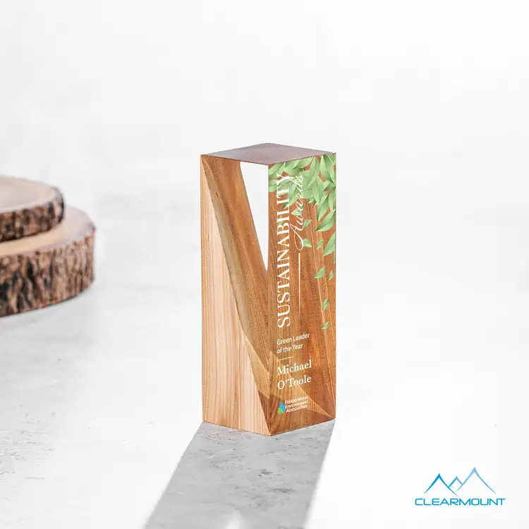 Cascades Wood and Acrylic Award - Multicolor #2