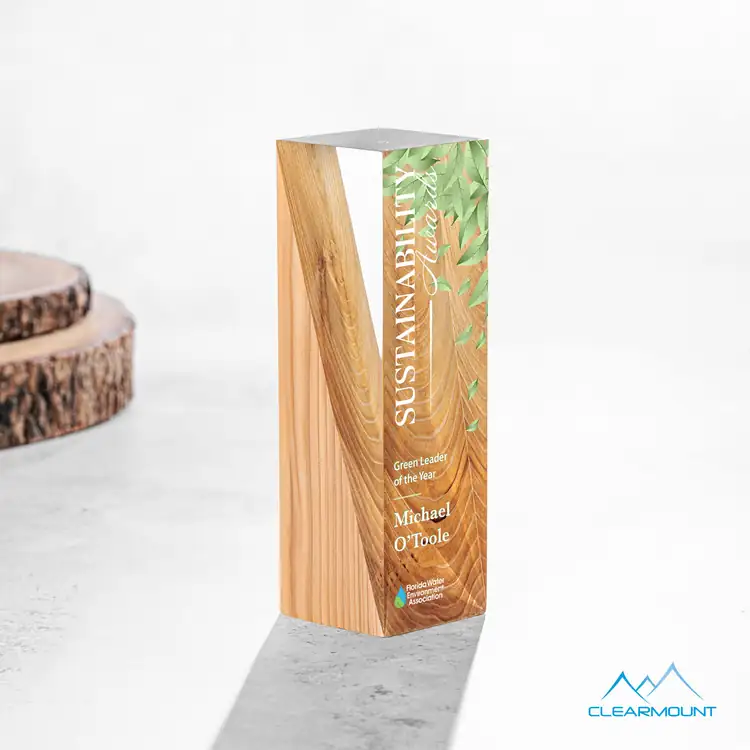 Cascades Wood and Acrylic Award - Multicolor #3