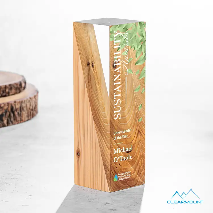 Cascades Wood and Acrylic Award - Multicolor #4