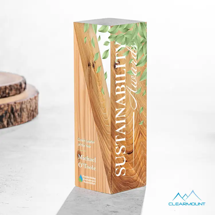 Cascades Wood and Acrylic Award - Multicolor #5