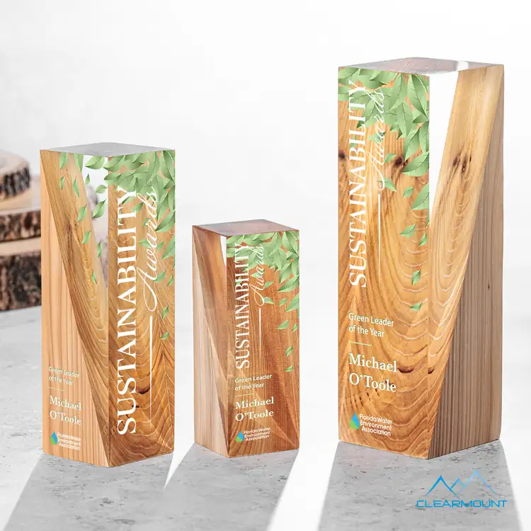 Cascades Wood and Acrylic Award - Multicolor