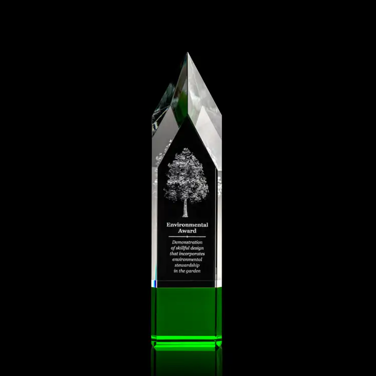 Coventry Optical Crystal Award - 3D Engraving #3