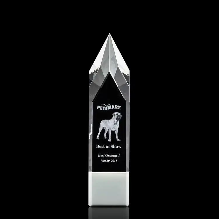 Coventry Optical Crystal Award - 3D Engraving #4
