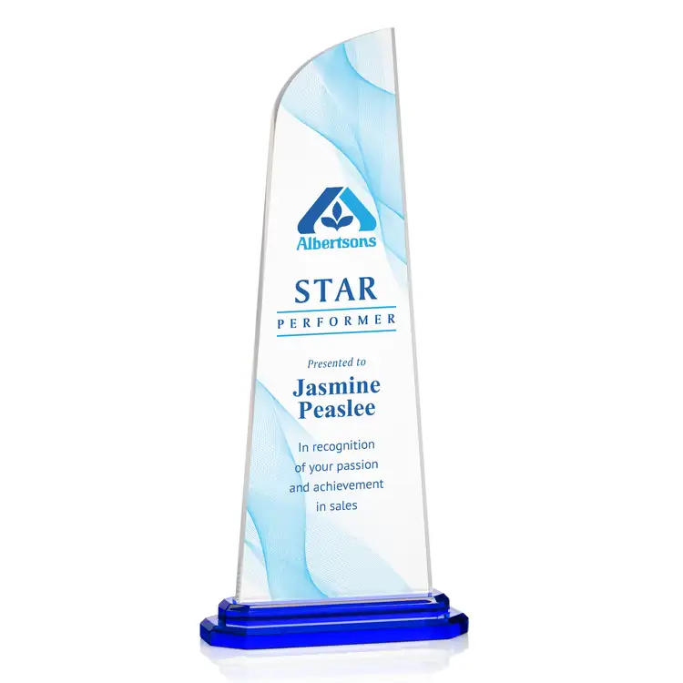 Culver Award - Acrylic - Multicolor #2