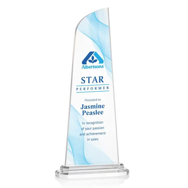 Culver Award - Acrylic - Multicolor #3