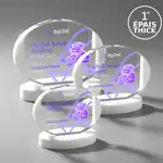 Trophée Darwin en cristal optique sur base Alberton blanche - Multicolore