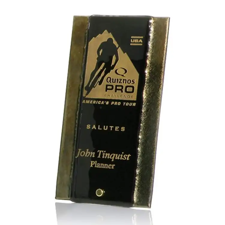 Gold Fusion with Peg Award