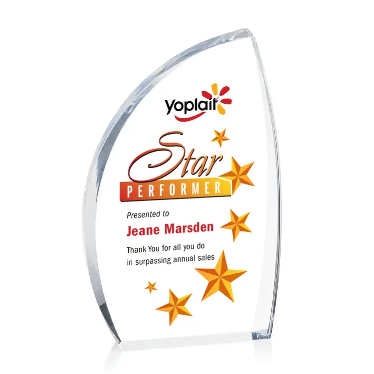 Duncan Award - Acrylic - Multicolor #2