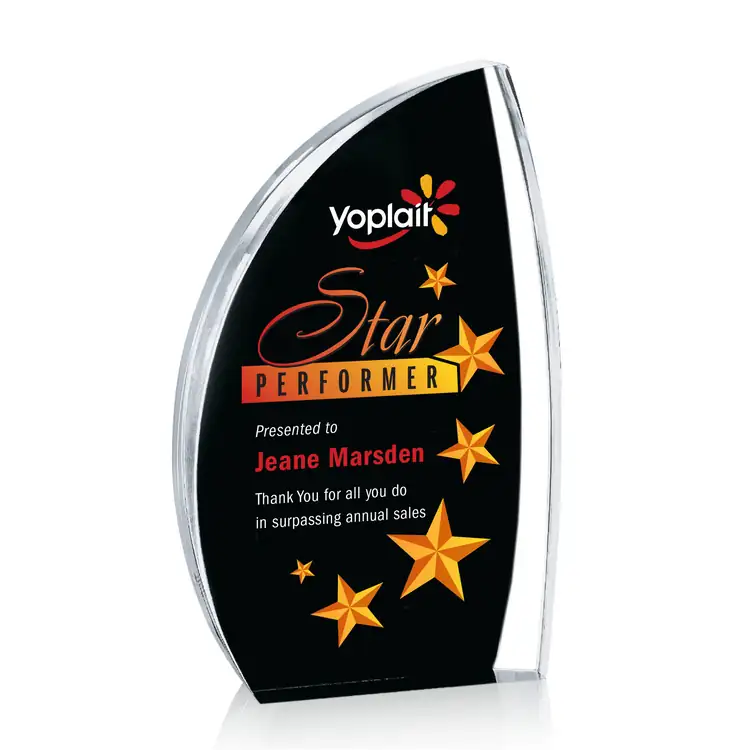 Duncan Award - Acrylic - Multicolor #3