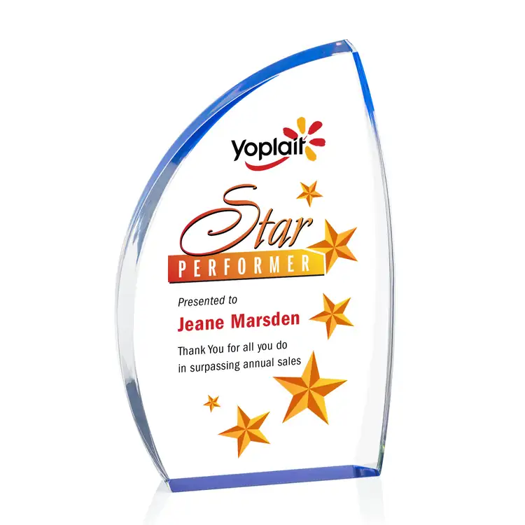 Duncan Award - Acrylic - Multicolor #4