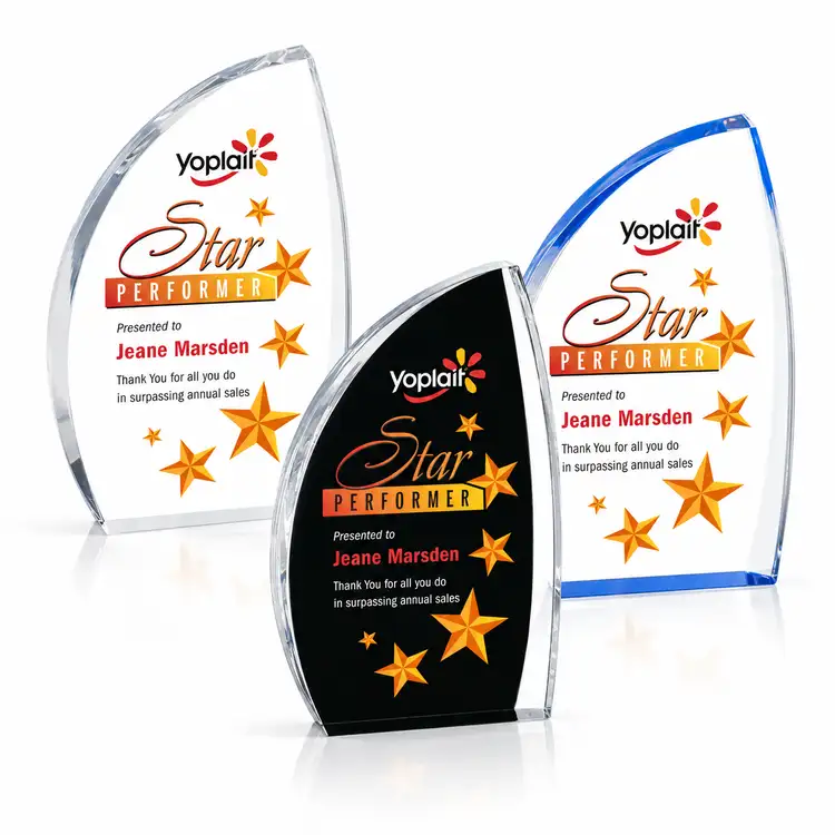 Duncan Award - Acrylic - Multicolor