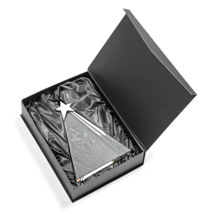Eglinton Optical Crystal Award with Silver Star - Multicolor #5