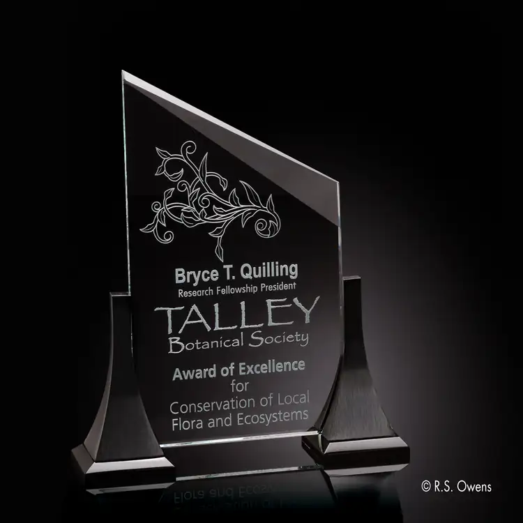 R.S. Owens Explorer Starfire Crystal Award #2