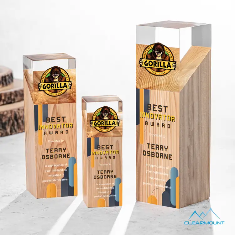 Falaise Wood and Acrylic Award - Multicolor