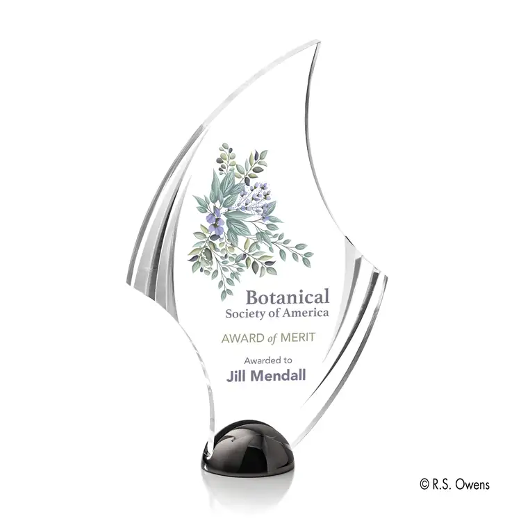 Trophée Flourish Hemisphere - Multicolore #2