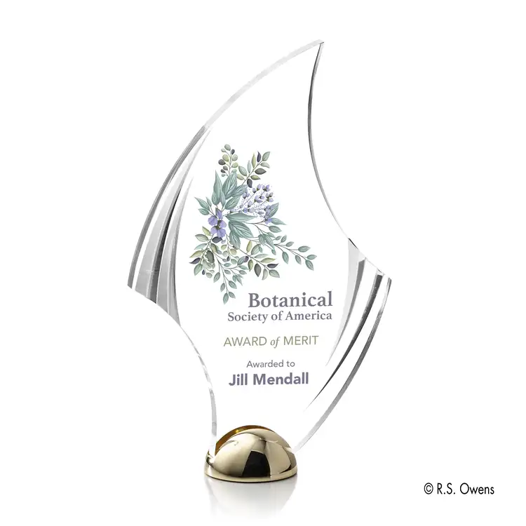 Trophée Flourish Hemisphere - Multicolore #3