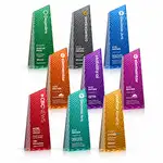 Trophée Hallandale en cristal optique - Multicolore