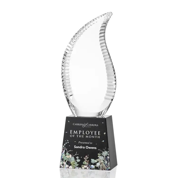 Harmony Flame Optical Crystal Award - Multicolor #2