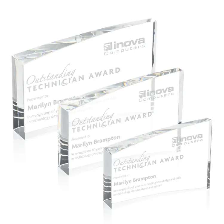 Trophée Hayes en cristal optique
