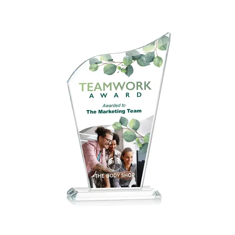 Hepscott Starfire Crystal Award - Multicolor #2