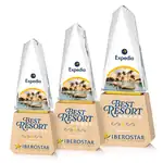 Trophée Lonsdale en cristal optique et hêtre - Multicolore