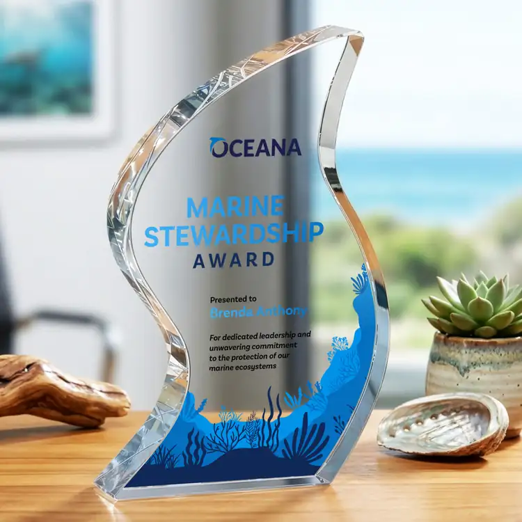 Nexis Single-Sided Optical Crystal Award - Multicolor #5