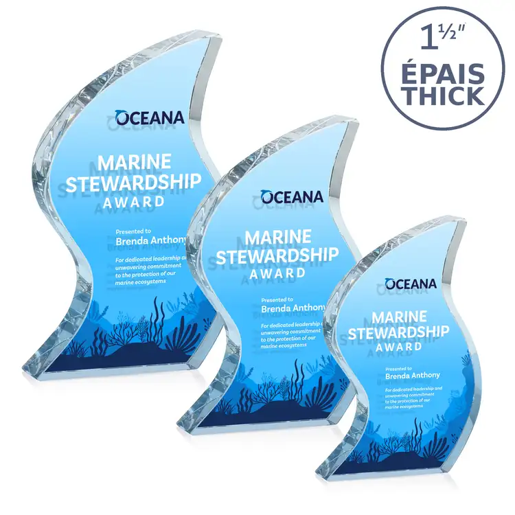 Nexis Double-Sided Optical Crystal Award - Multicolor