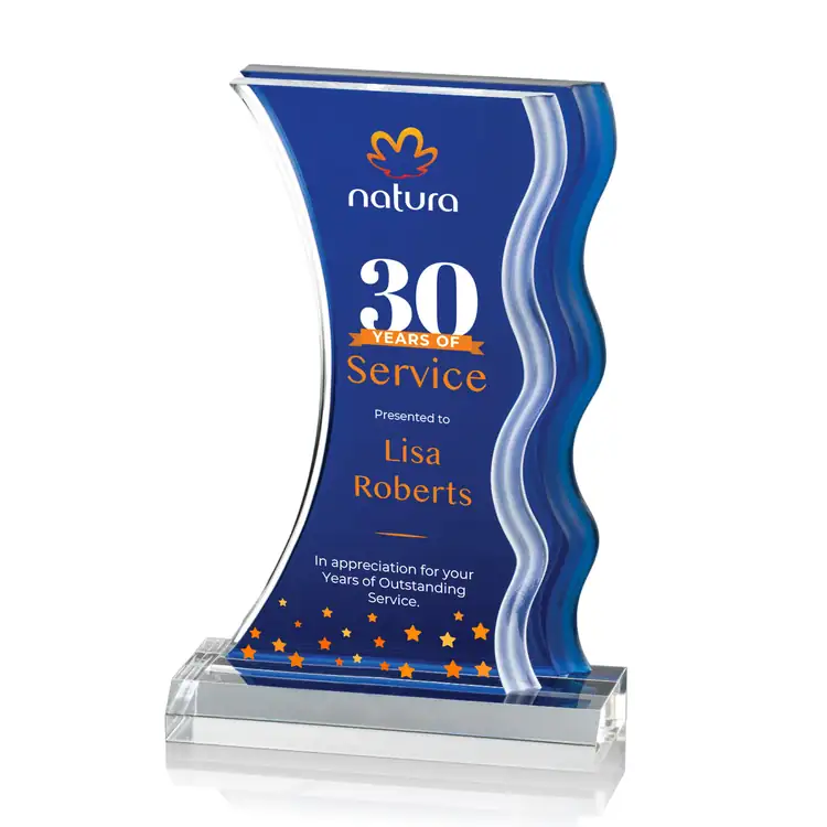 Nolan Blue and Clear Acrylic Award - Multicolor #4