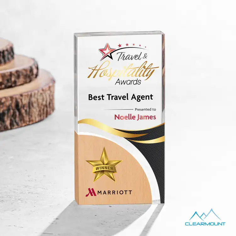 Nuage Wood and Acrylic Award - Multicolor #3