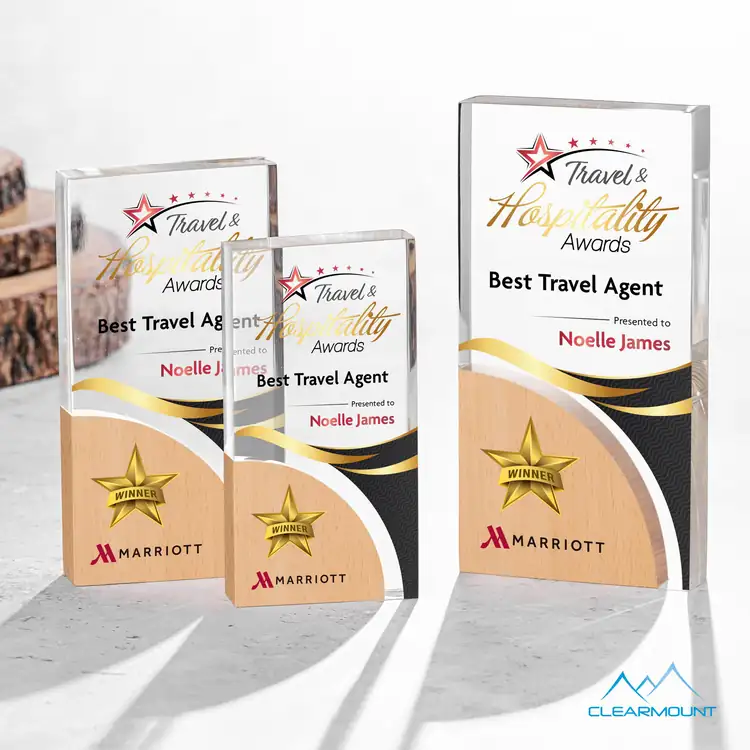 Nuage Wood and Acrylic Award - Multicolor