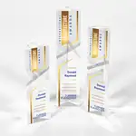 Trophée Oakham en cristal optique - Triangle - Multicolore