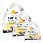 Trophée Omega en cristal optique Multicolore