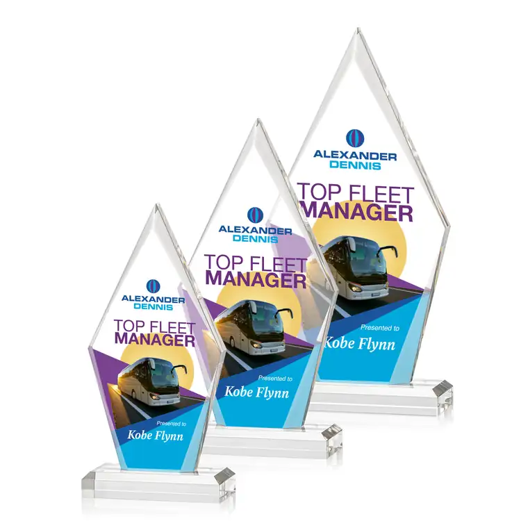 Palmer Acrylic Award - Multicolor