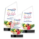 Trophée Portland en cristal Starfire - Multicolore