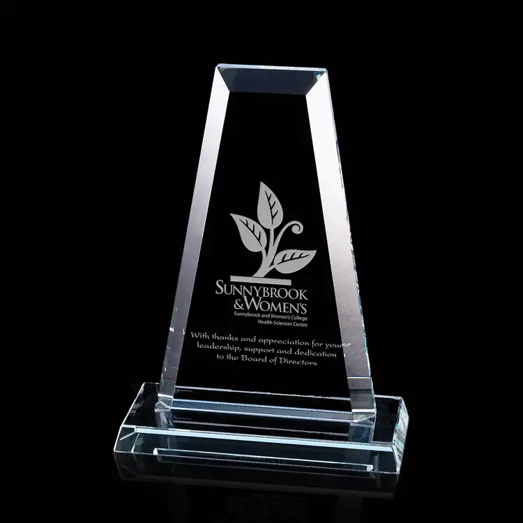 Regency Tower Starfire Crystal Award #2