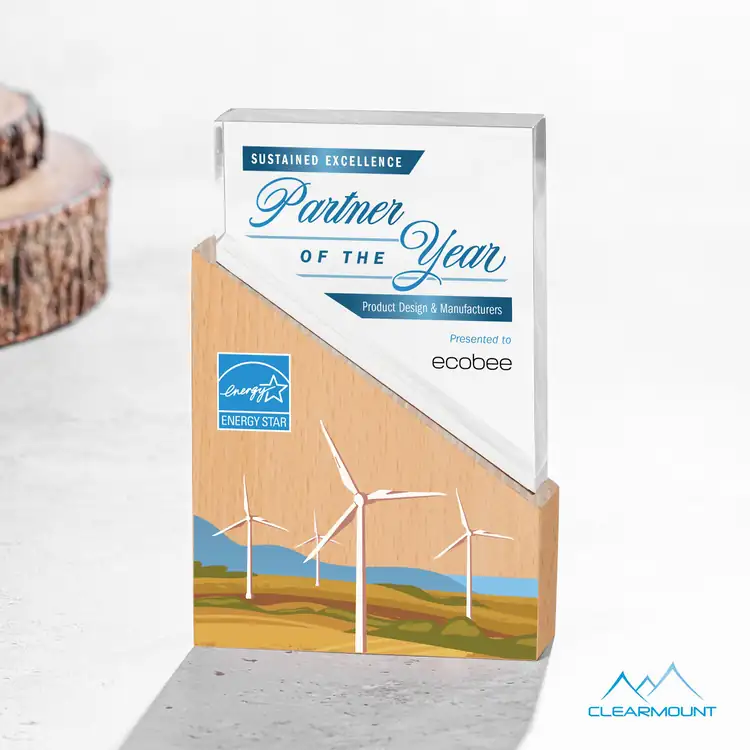 Rocheaux Wood and Acrylic Award - Multicolor #2