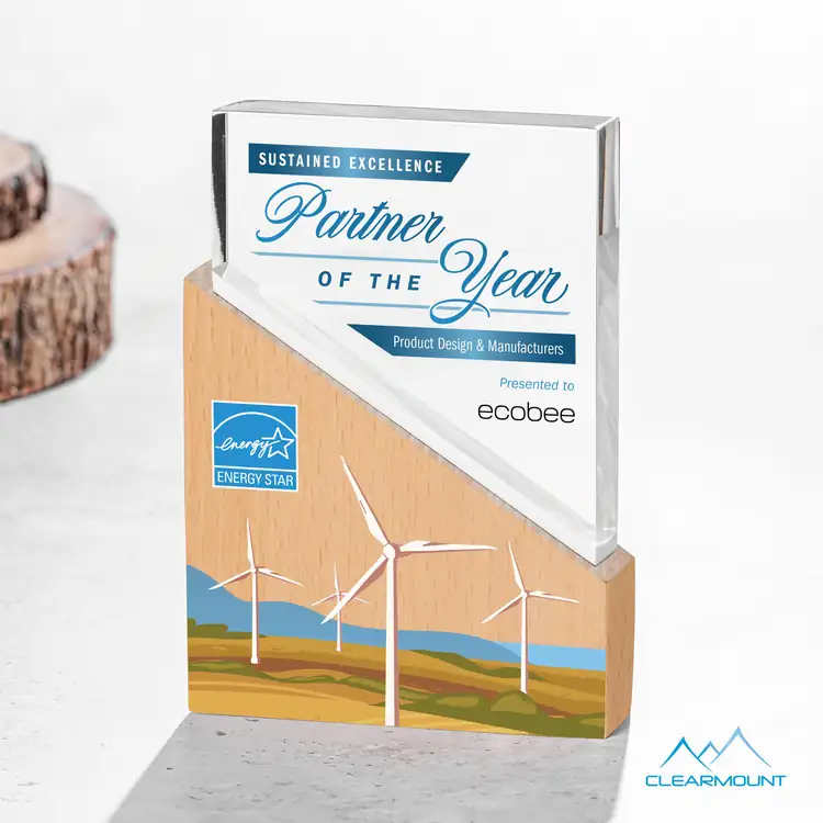 Rocheaux Wood and Acrylic Award - Multicolor #3