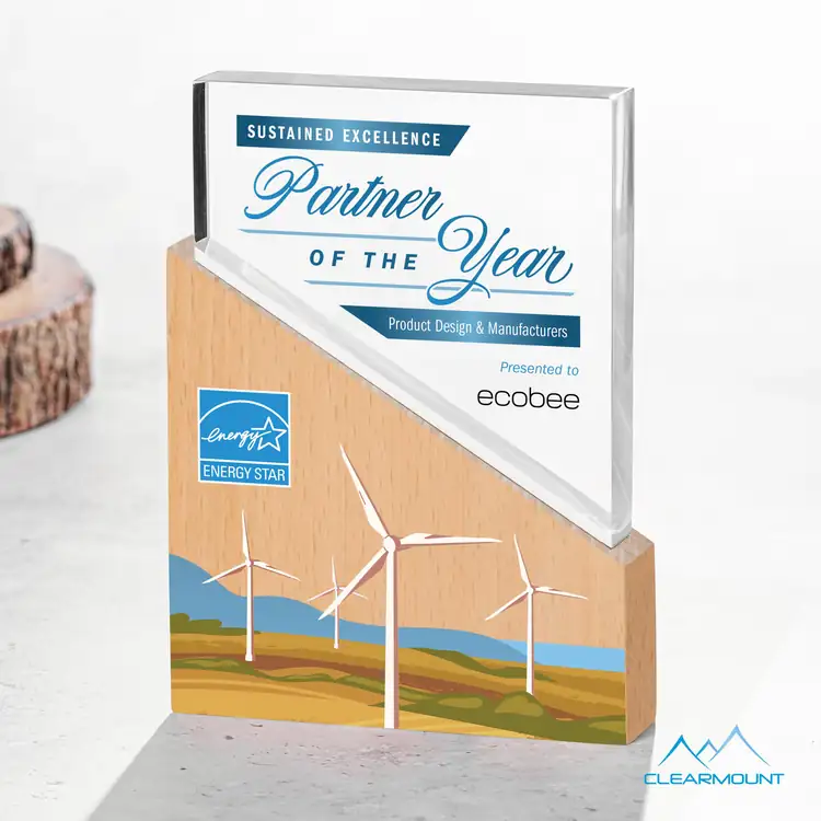 Rocheaux Wood and Acrylic Award - Multicolor #4