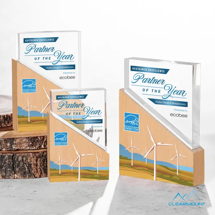 Rocheaux Wood and Acrylic Award - Multicolor