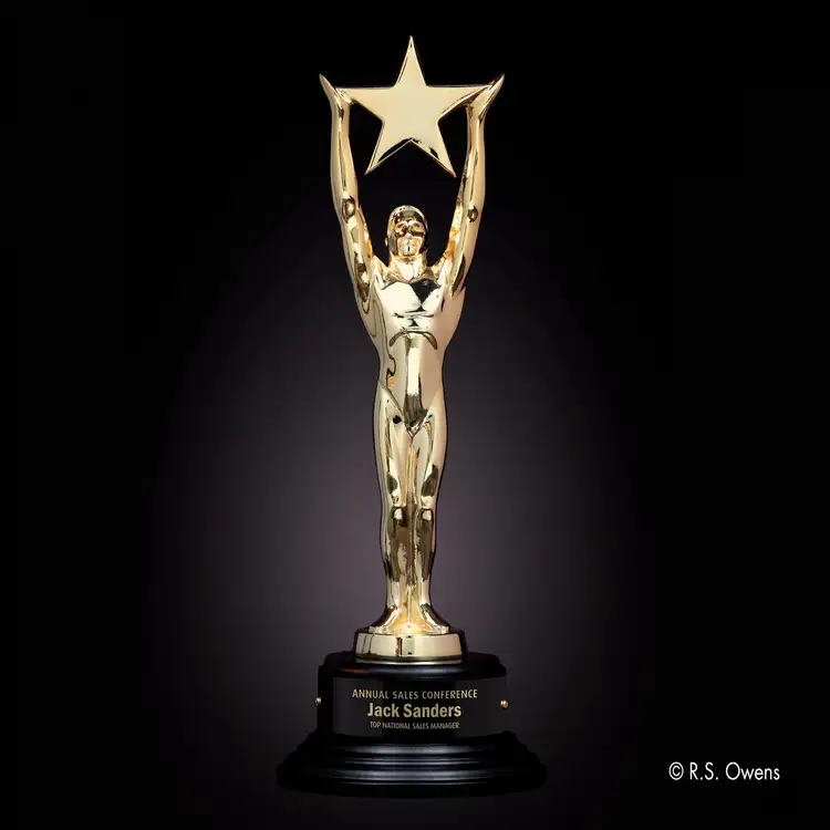 Gold Star Achievement Award #2