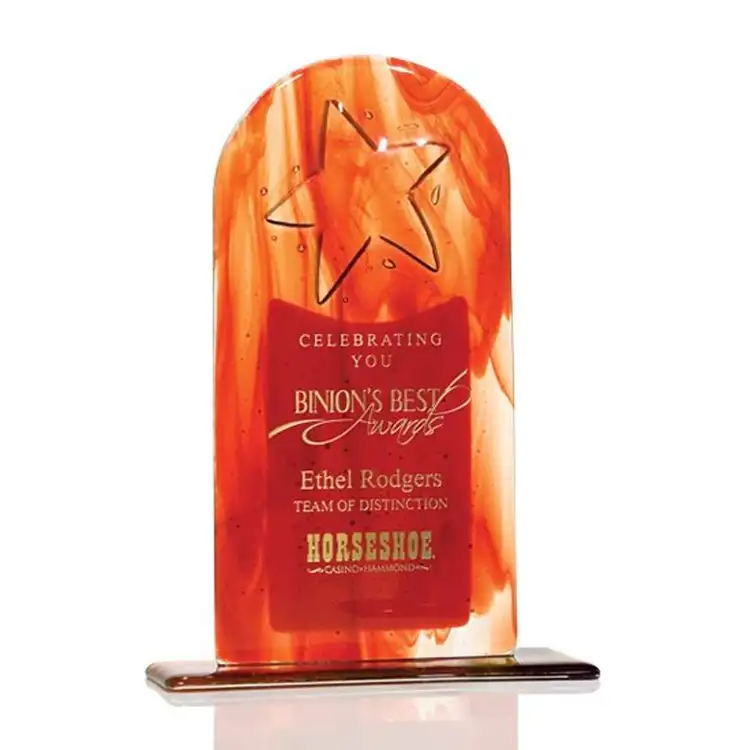 Star Arch Fusion Award #3