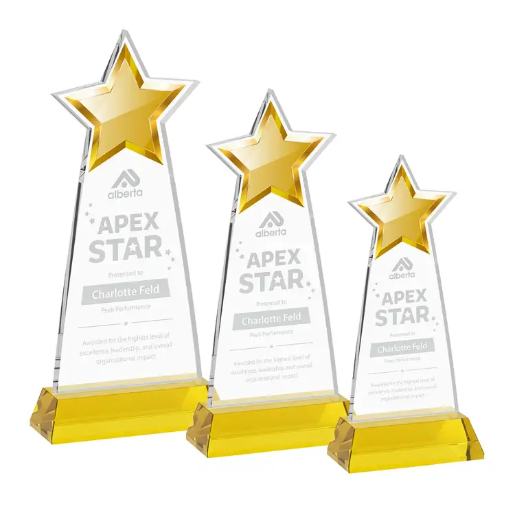 Starlite Award on Hartford Base - Deep Etch #11