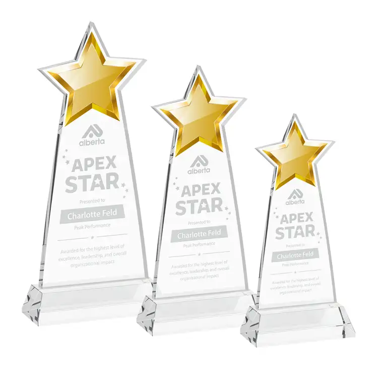 Starlite Award on Hartford Base - Deep Etch #2