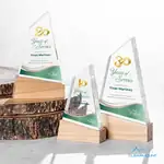 Trophée Terra en acrylique sur socle en bois - Multicolore
