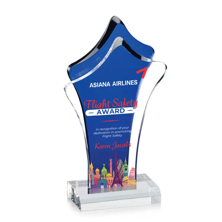 Tonga Blue and Clear Acrylic Award - Multicolor #4
