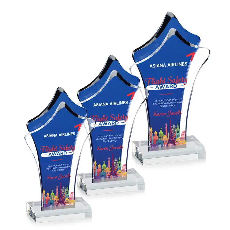 Tonga Blue and Clear Acrylic Award - Multicolor